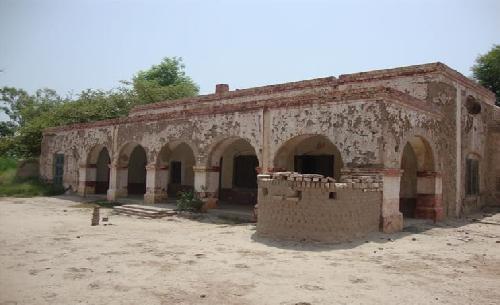 <i>EX Bilding PS Havely Koranga</i>